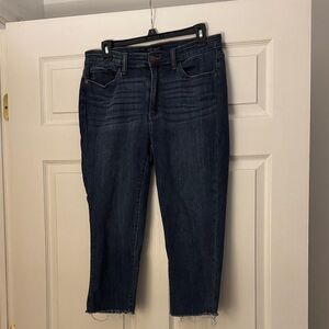 Judy Blue Skinny Fit Capri